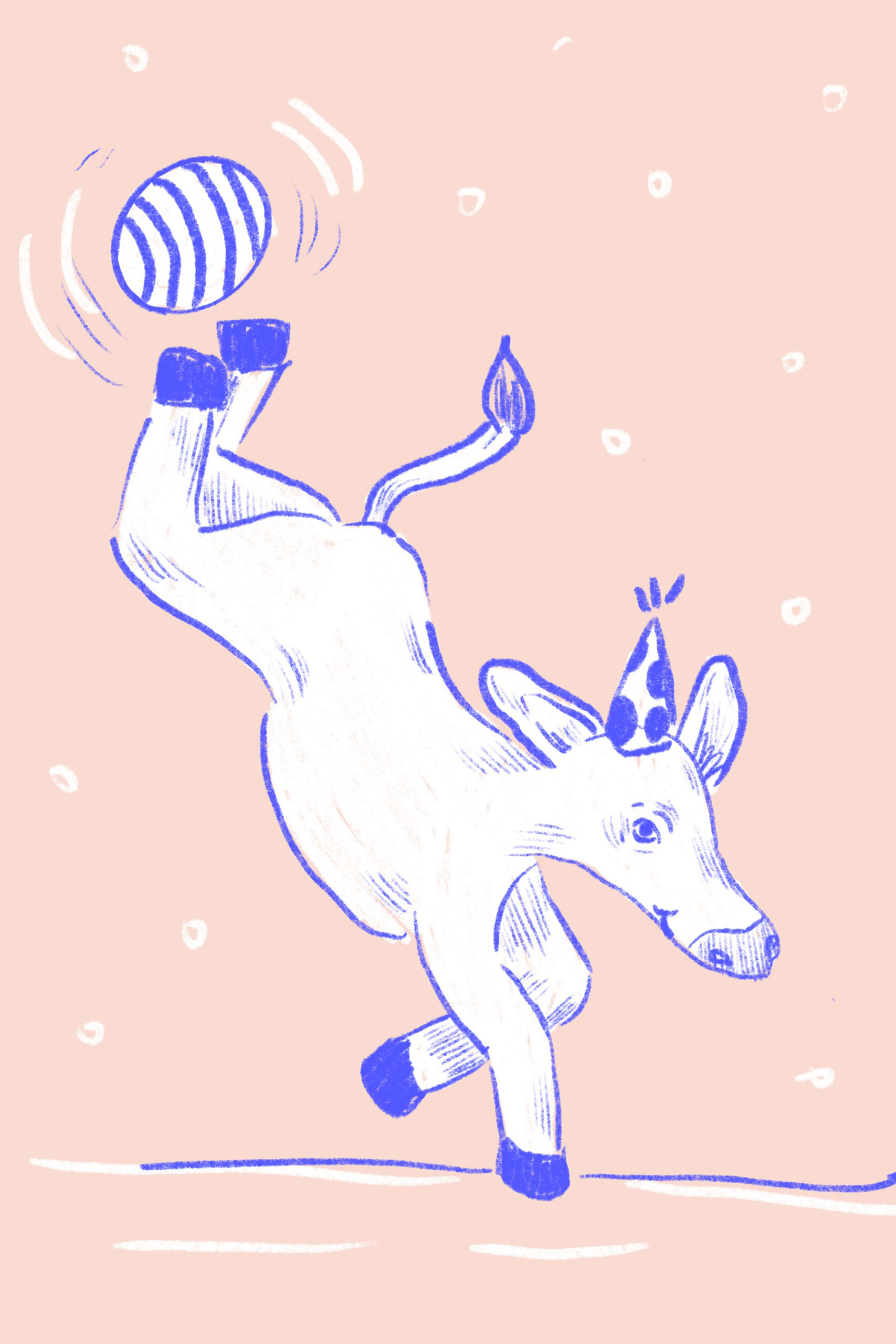 Illustration_6