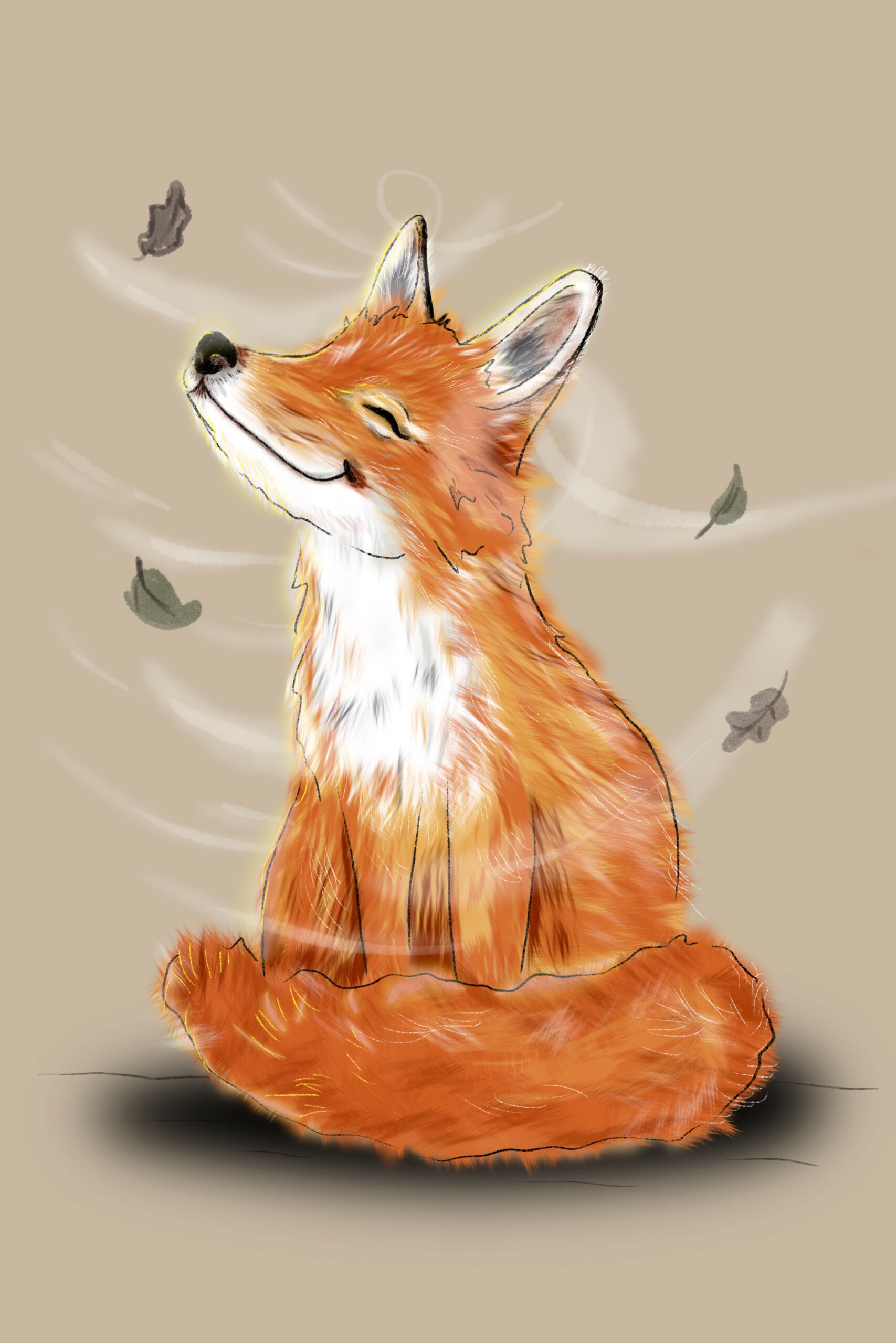 Illustration_7