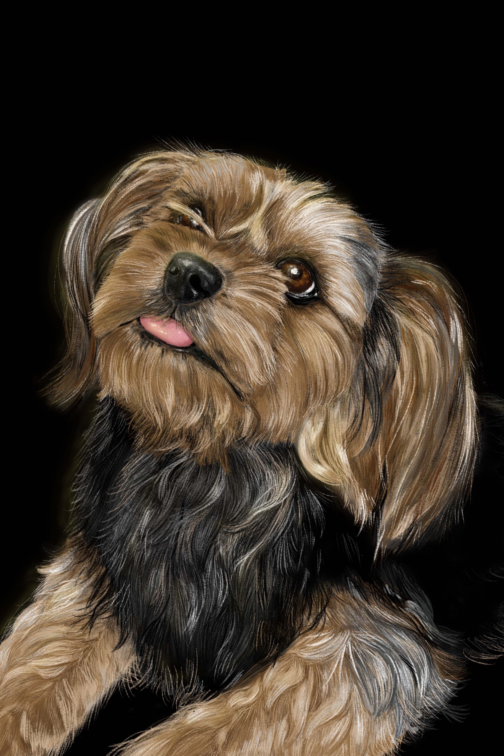 Illustration_8